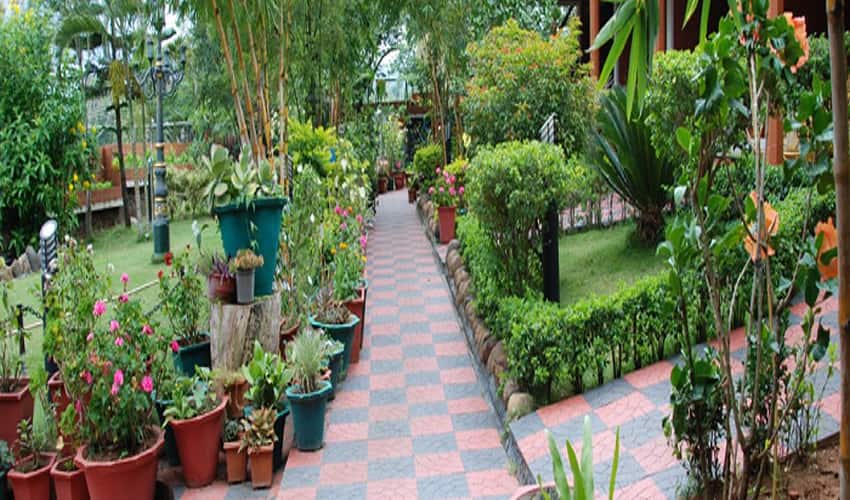The Nest Inn Resort, Masinagudi 2